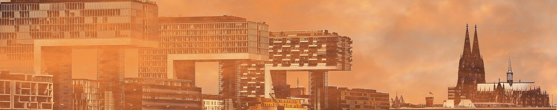 驻马店经典案例